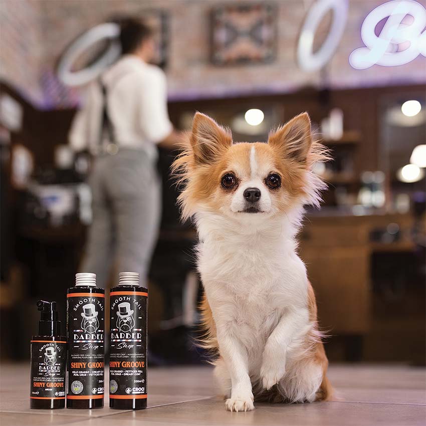 croci-barbershop-shinygroove-apr-s-shampooing-chien-200-ml image 3