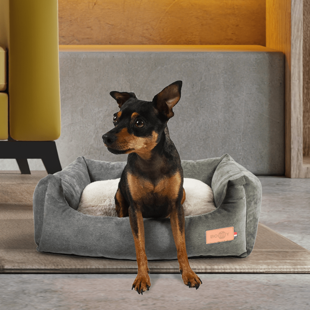 croci-bobby-daryl-panier-chien-rectangulaire-velours-gris image 2