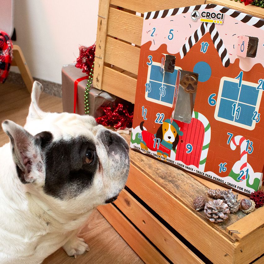 croci-calendrier-avent-chien-friandises-poulet-24-cases-108g image 3