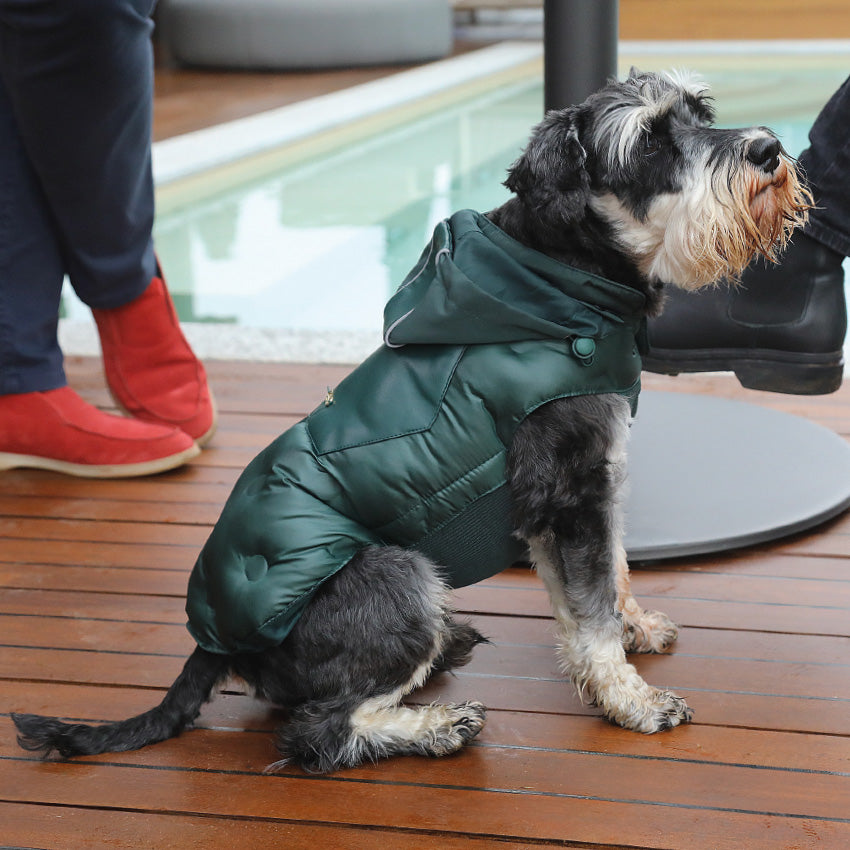 croci-dog-clothing-pea-giubbotto-manteau-chien-noir-40-cm-imperm-able image 4