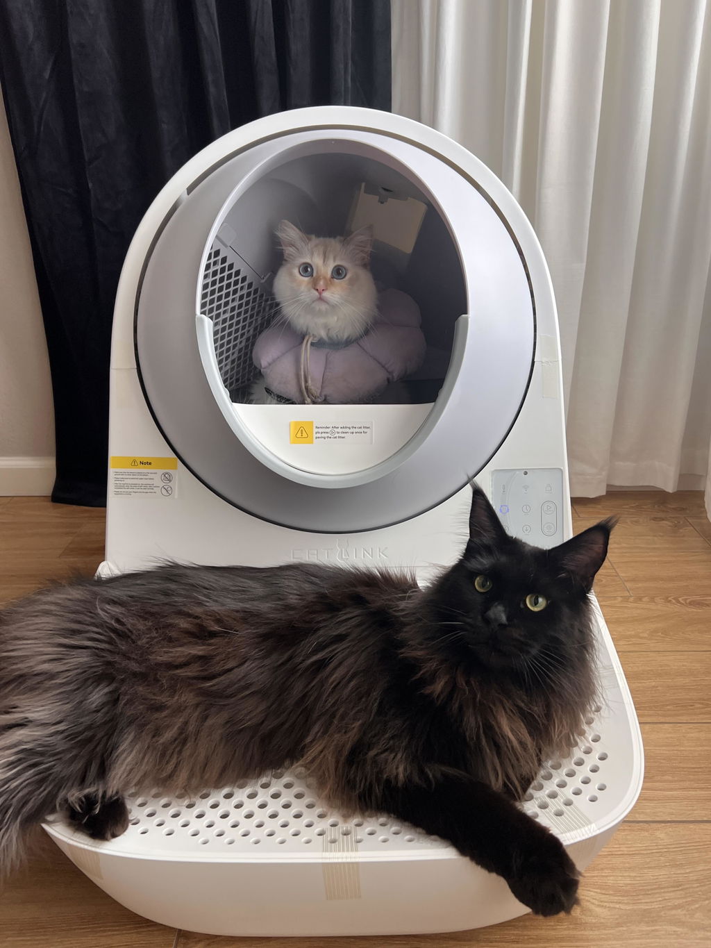 Bon duo