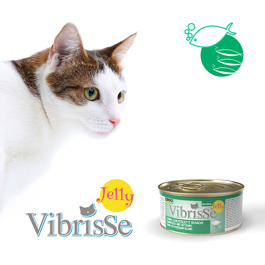 croci-vibrisse-jelly-p-t-e-chat-gel-e-thon-70-g image 5