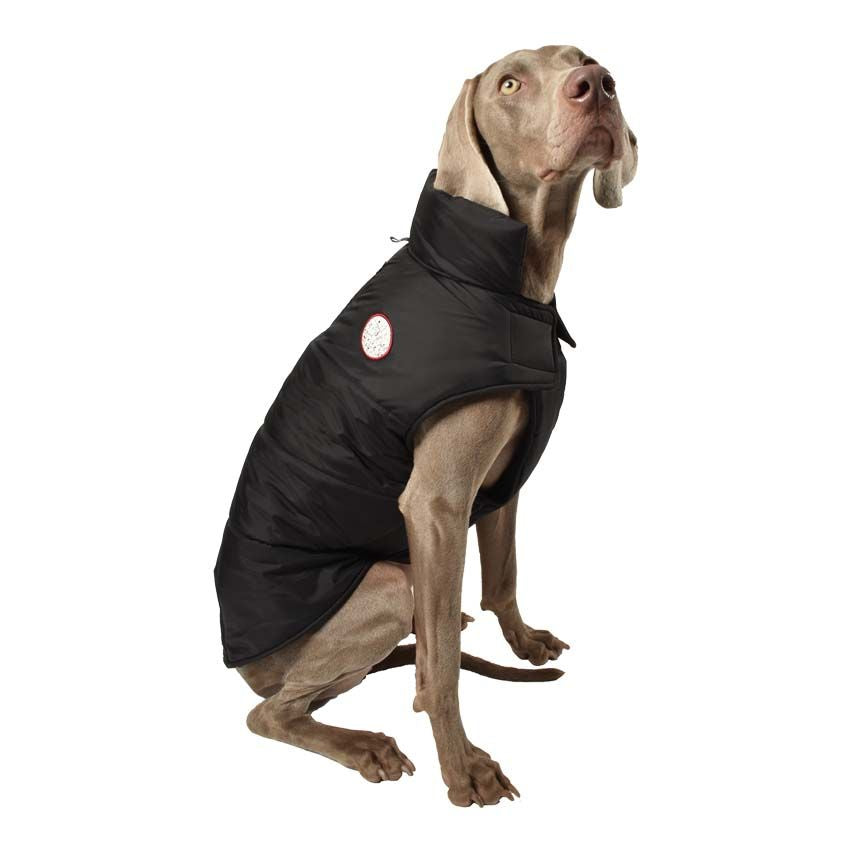 croci-bobby-manteau-chien-imperm-able-bleu-40-cm-chaud image 3