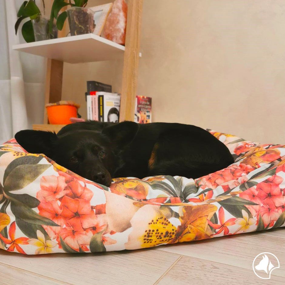 croci-exotic-coussin-ovale-chien-chat-53x35-motif-tropical image 2