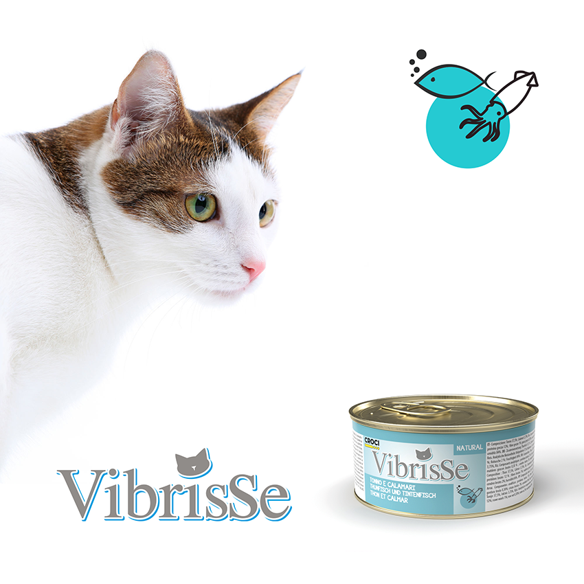 croci-vibrisse-p-t-e-chat-poulet-naturel-70-g image 8