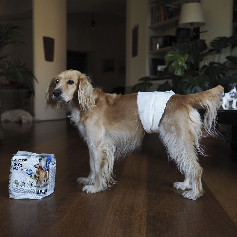 croci-dog-nappy-couche-chien-m-le-s-30-40-cm-x12 image 3