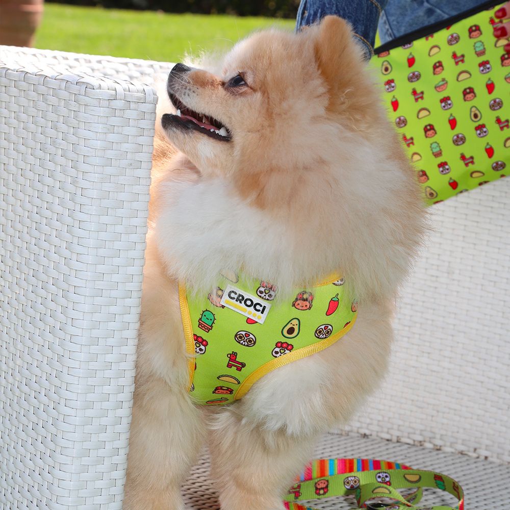 croci-guacamole-harnais-chien-r-versible-n-opr-ne-l image 3
