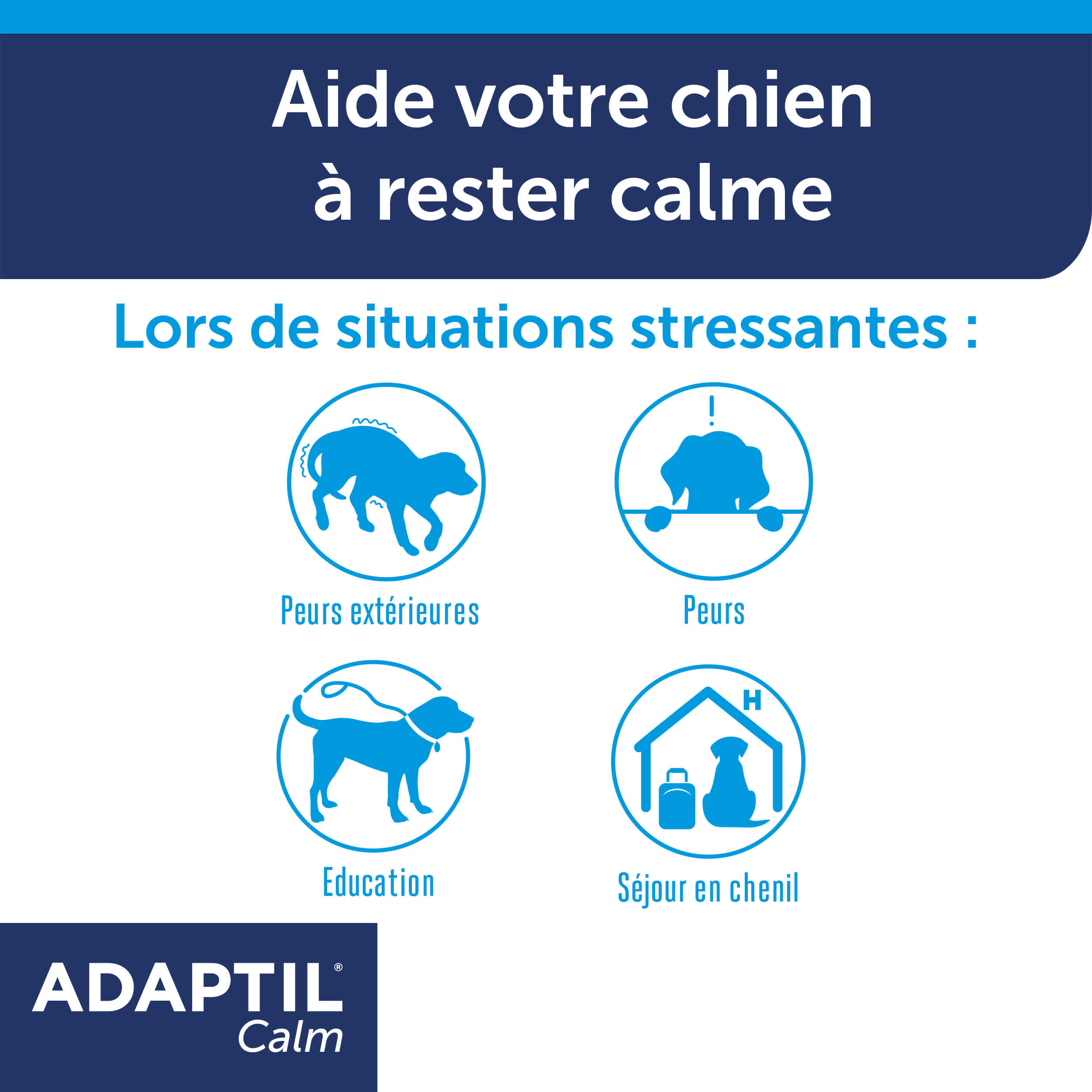adaptil-calm-collier-apaisant-chien-taille-m-30-jours image 6