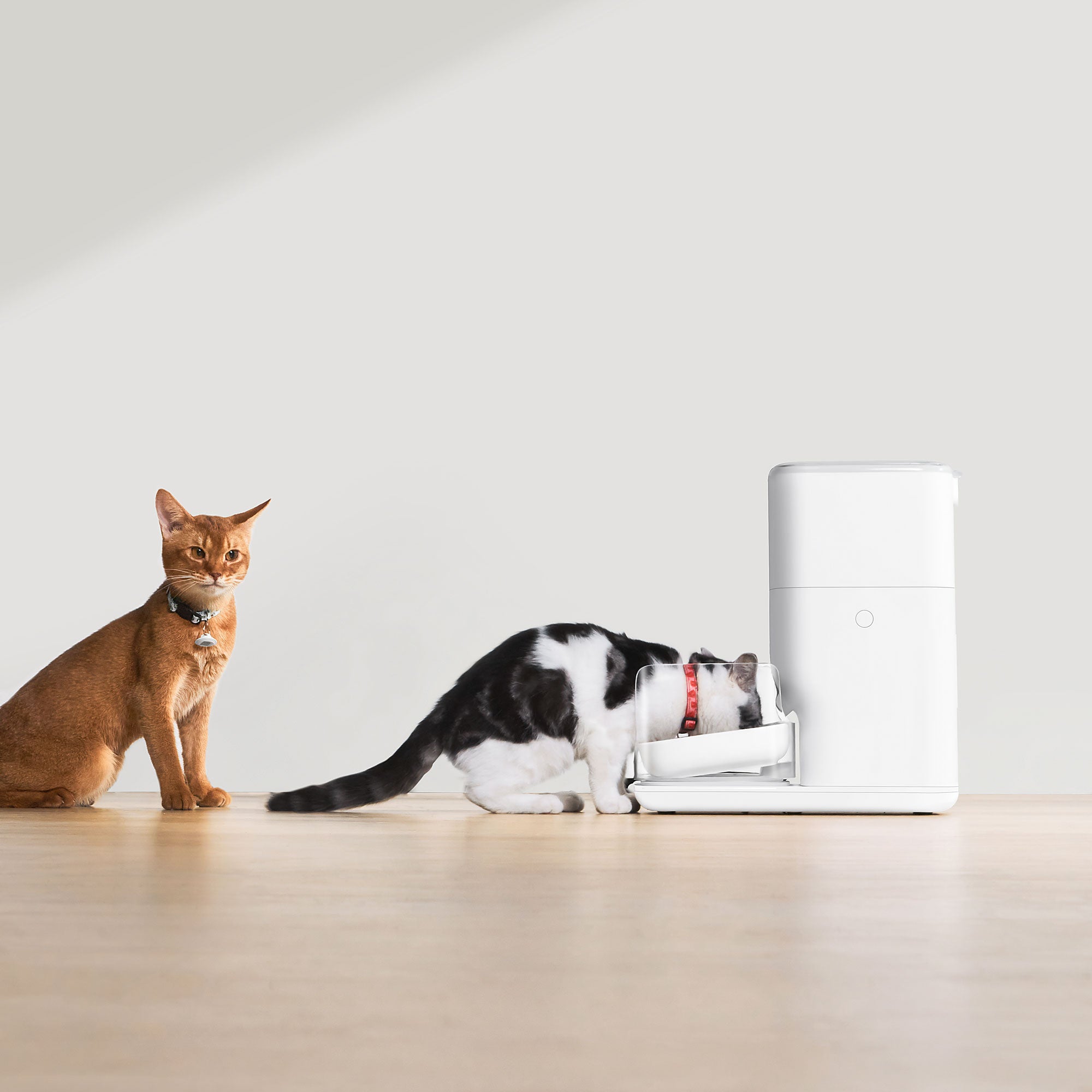catlink-fresh-2-rfid-distributeur-croquettes-double-4l image 4