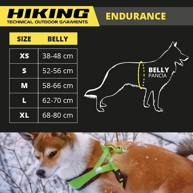 croci-hiking-swedish-endurance-harnais-chien-nylon-rouge-m-rembourr image 4