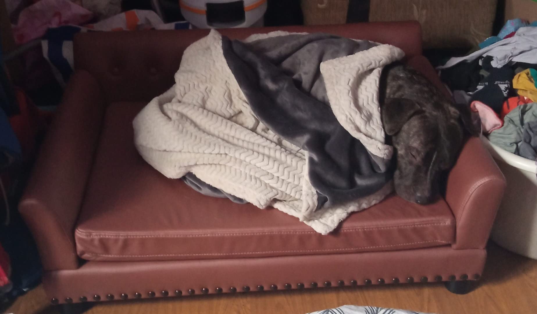 Il dort dessus