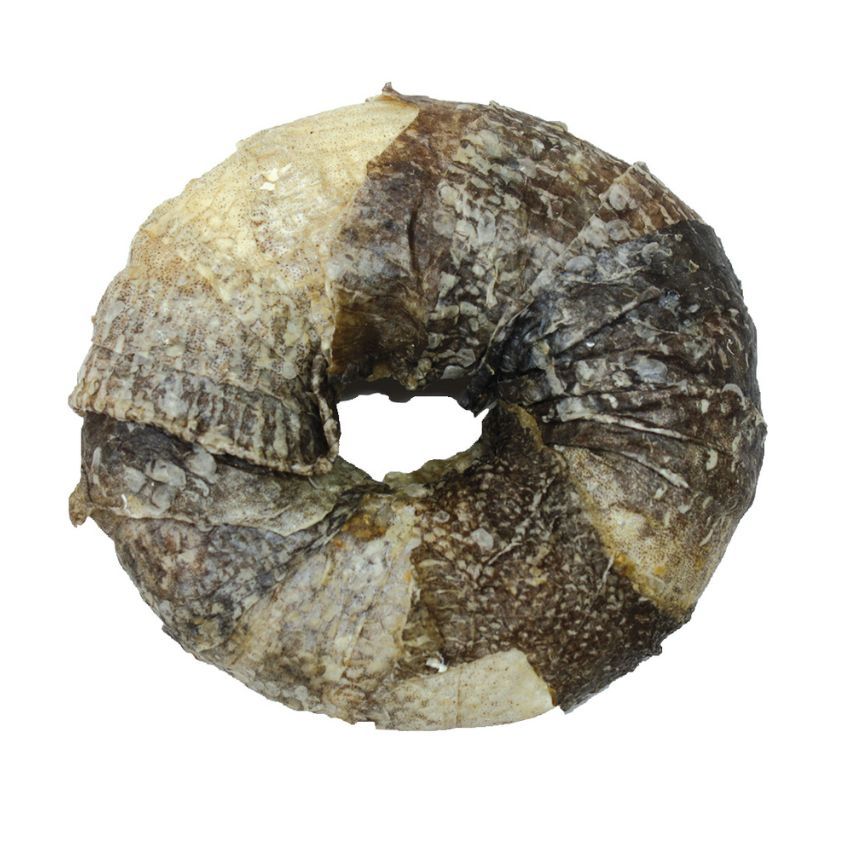 croci-bbq-party-donut-friandise-chien-poulet-7-cm image 3