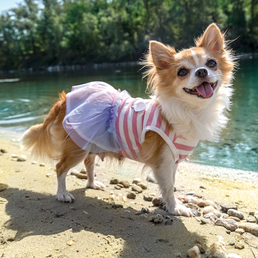 croci-mermaid-robe-pour-chien-tulle-arc-en-ciel-30-cm image 2