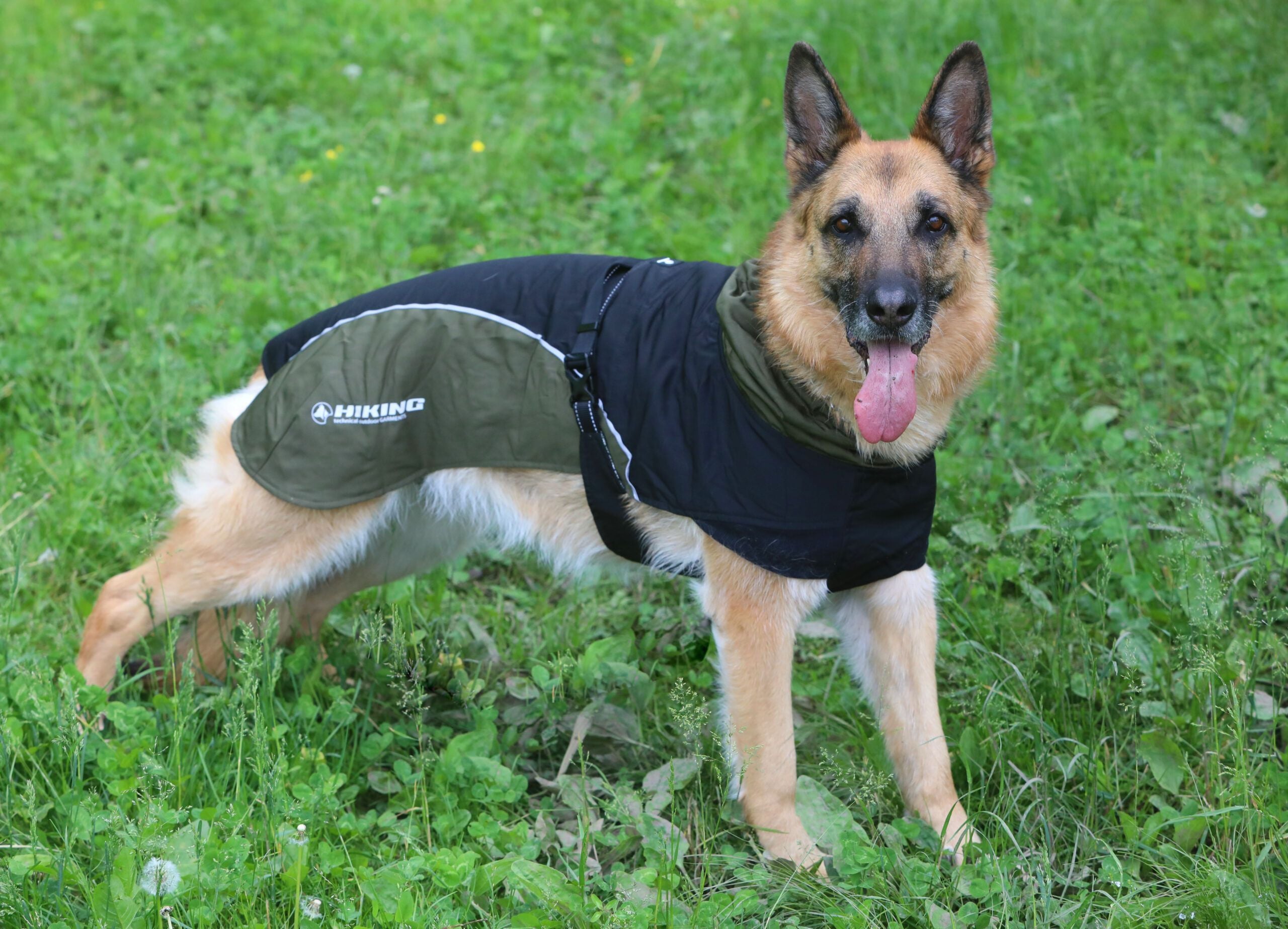croci-hiking-nanga-manteau-imperm-able-chien-vert-50-cm image 7