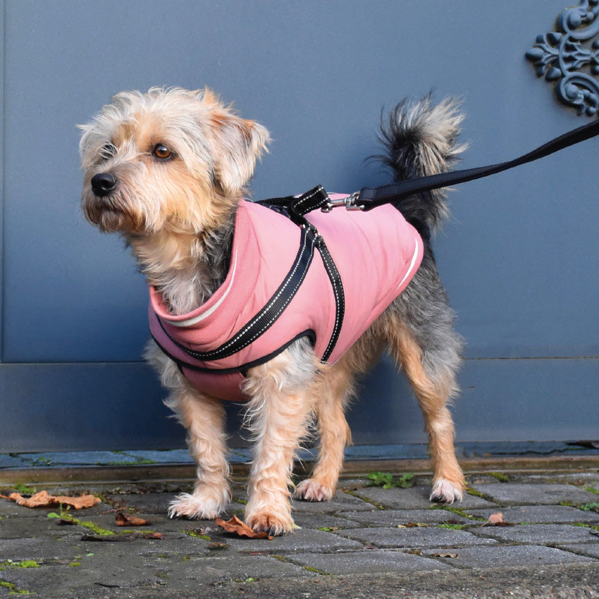 croci-manteau-chien-hiver-harnais-int-gr-rose-xs-25cm image 4