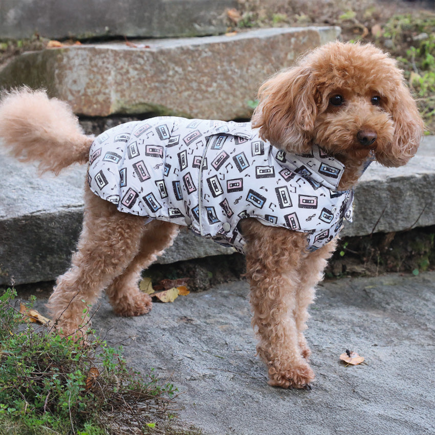 croci-music-manteau-hiver-chien-imperm-able-30-cm image 2
