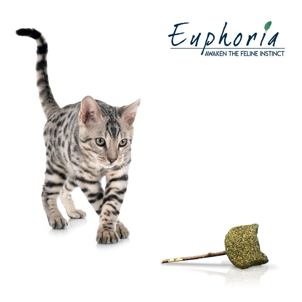 croci-euphoria-stick-cat-face-jouet-chat-matatabi-14-cm image 3