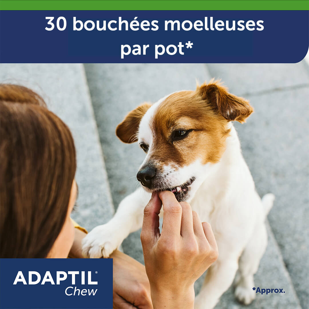 adaptil-chew-bouch-es-anti-stress-chien-30-friandises image 3