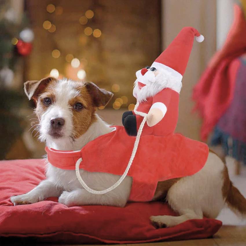 croci-santa-riding-harnais-chien-no-l-rouge-taille-m image 2