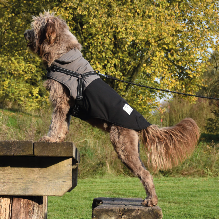 croci-manteau-tour-veste-chien-harnais-l-42-cm image 2