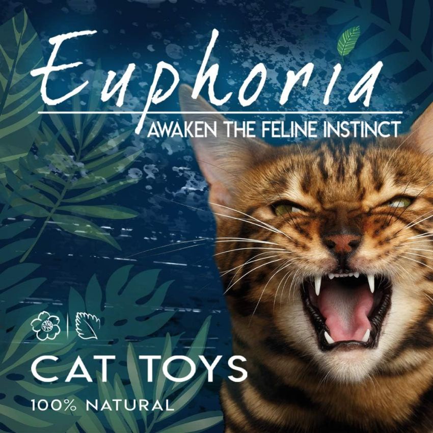 croci-euphoria-stick-cat-face-jouet-chat-matatabi-14-cm image 5