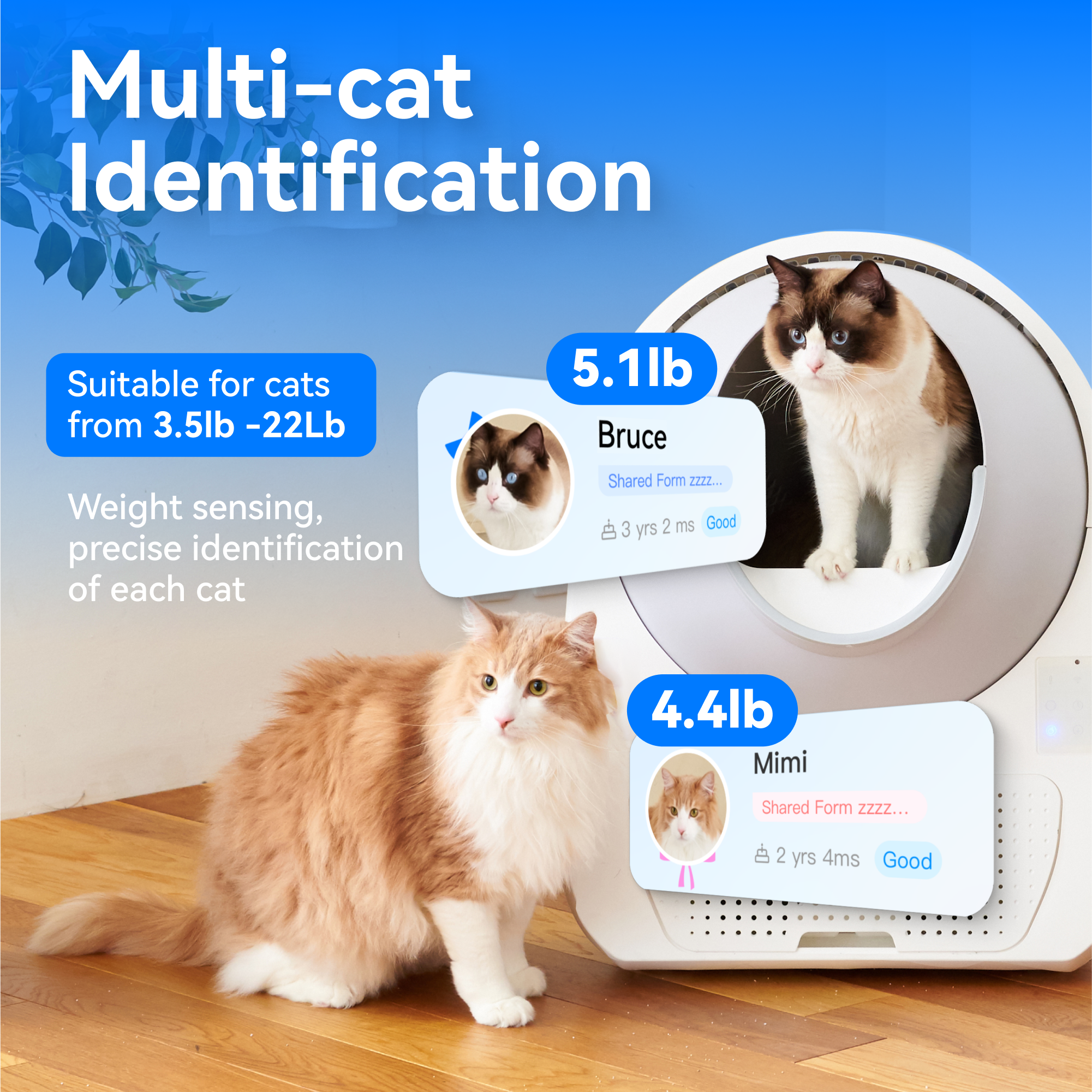 catlink-scooper-luxury-pro-x-liti-re-automatique-double-set-x2 image 4