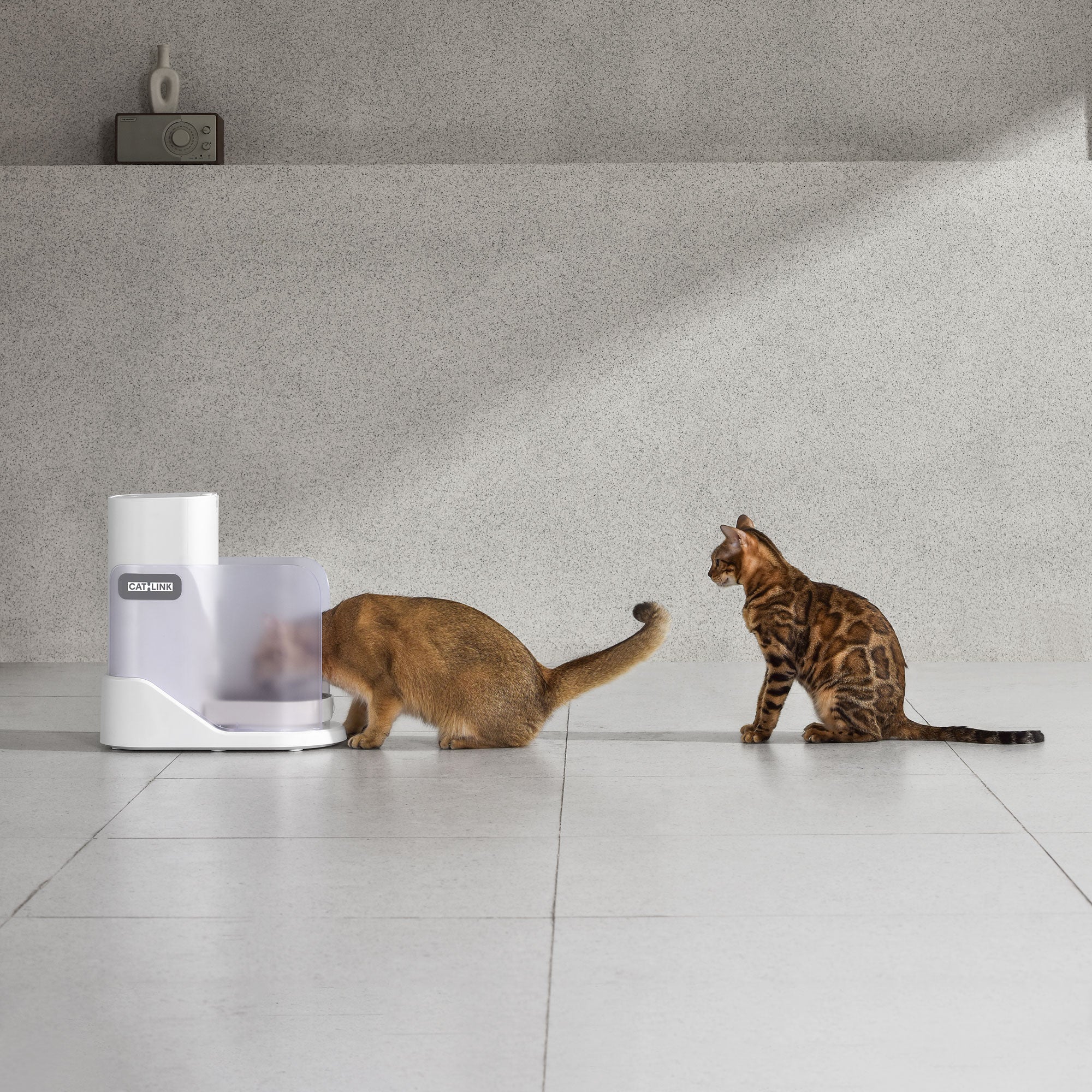 catlink-automatic-feeder-facelink-distributeur-croquettes-single-set-3-5-l image 6