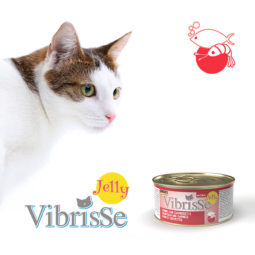 croci-vibrisse-jelly-p-t-e-chat-gel-e-thon-70-g image 4