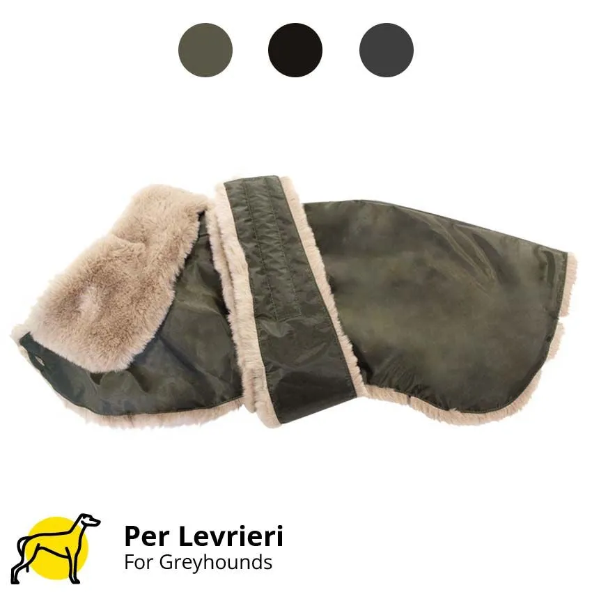 croci-greyhound-manteau-l-vrier-gris-60-cm-hiver image 1