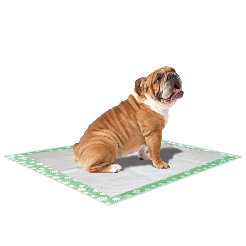 croci-super-nappy-daisy-tapis-chien-57x54-cm-lot-30 image 2