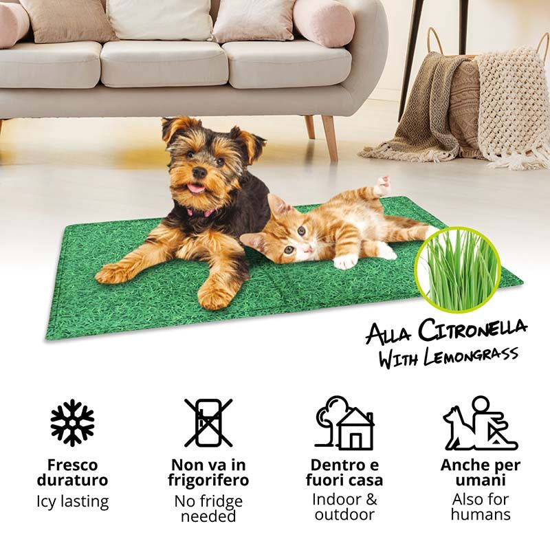 croci-fresh-tapis-rafra-chissant-chien-herbe-65x50-cm image 2