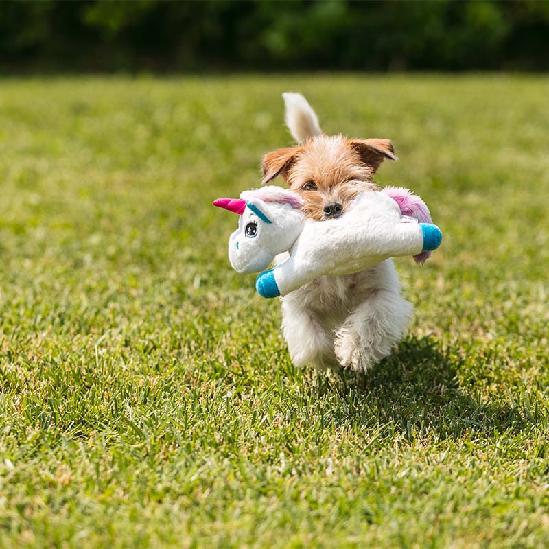 croci-party-pi-ata-peluche-chien-licorne-16-cm image 3