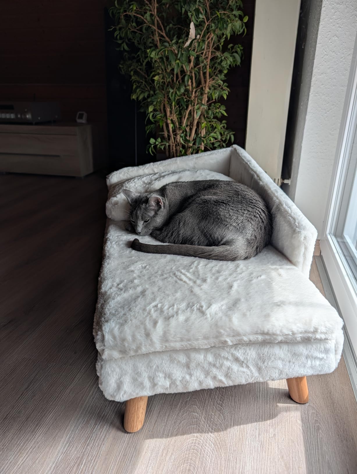 Coussin fin