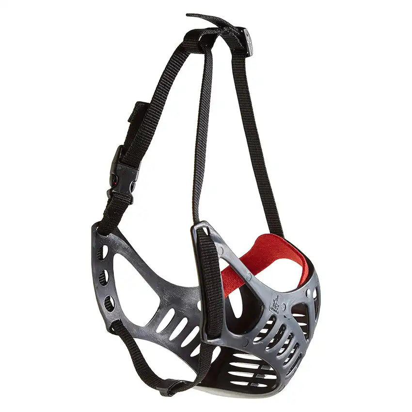 croci-boxer-black-museli-re-panier-chien-noire-taille-4 image 5